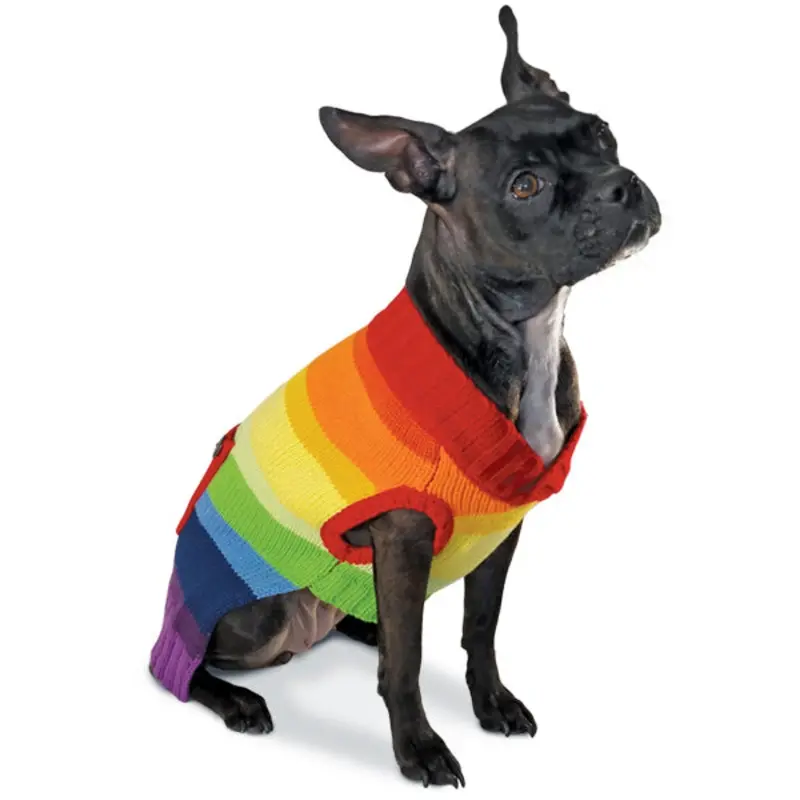 DOGO | Rainbow Sweater