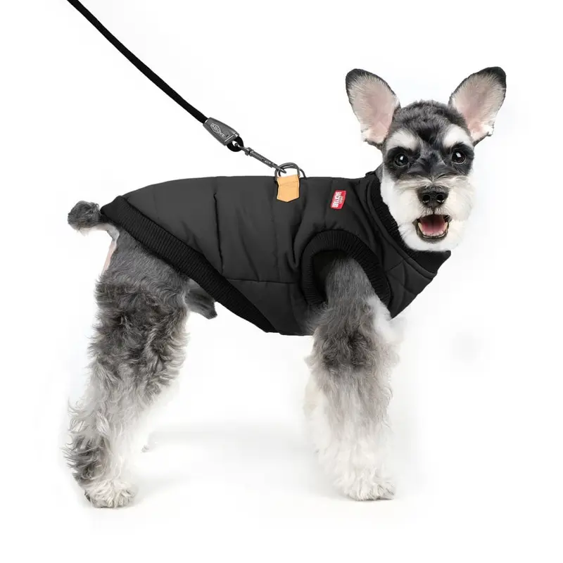 CHARLIE'S BACKYARD | Harness Jacket in Black