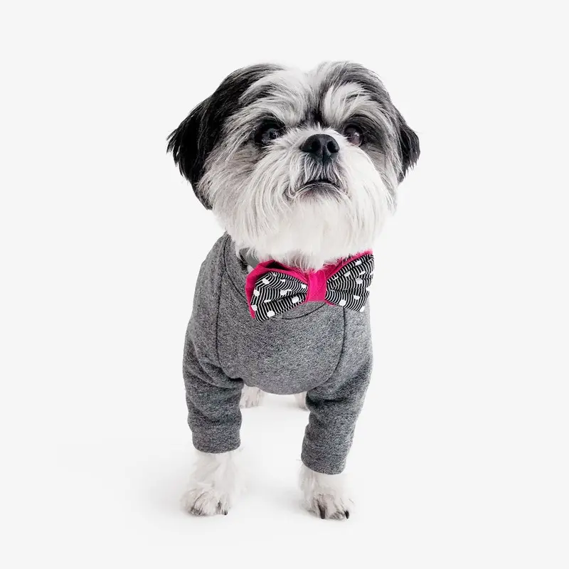 OH HONEY BEAR | Lewis Bow Tie