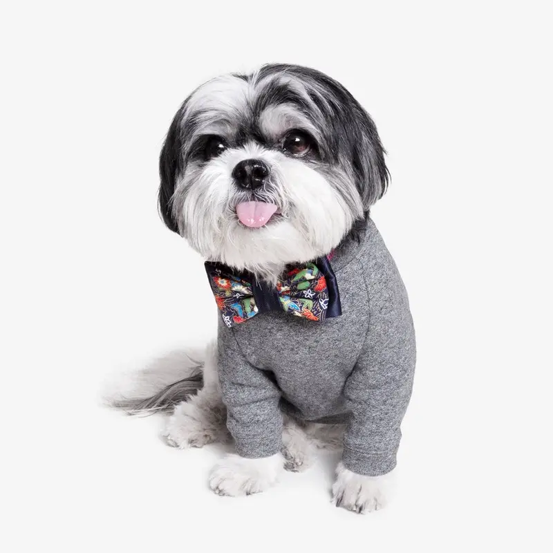 OH HONEY BEAR | Prosperity Bow Tie