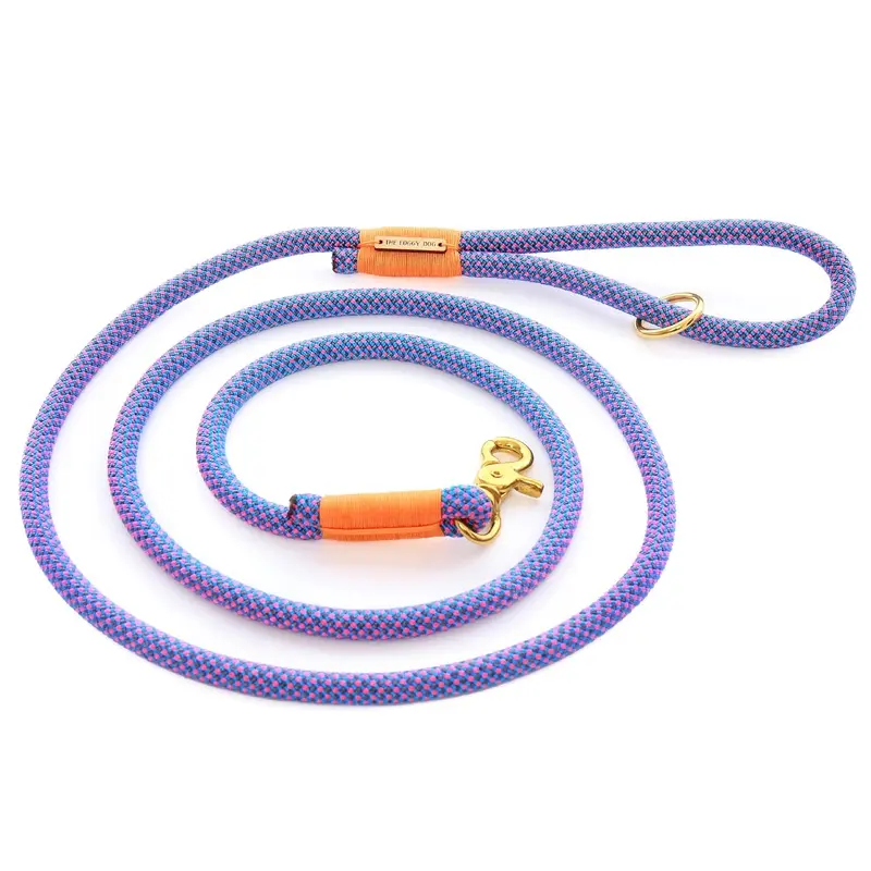 THE FOGGY DOG | Climbing Rope Leash in Neon Tetra