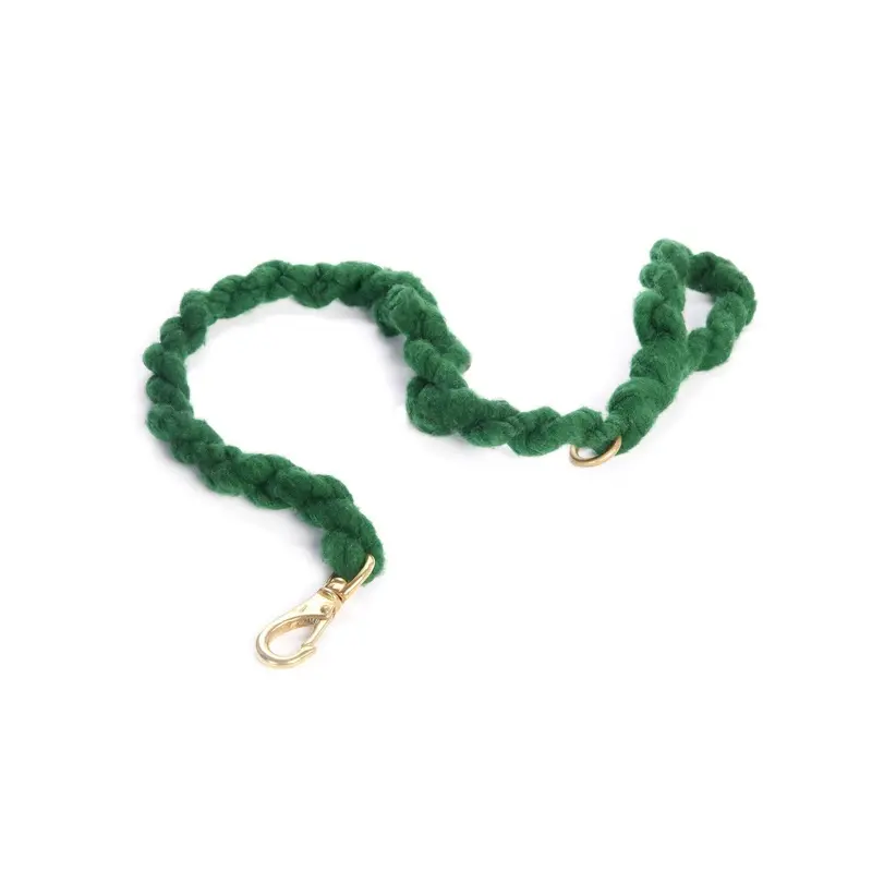 LOOPY MANGO | DIY Dog Leash Kit in Emerald