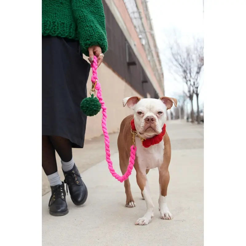 LOOPY MANGO | DIY Dog Leash Kit in Hot Pink