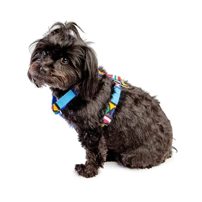 A TAIL WE COULD WAG | Moab Sky Harness