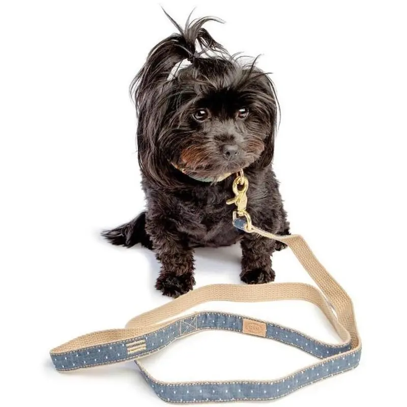 FINNEGAN'S STANDARD GOODS | Denim Pin Dot Lead