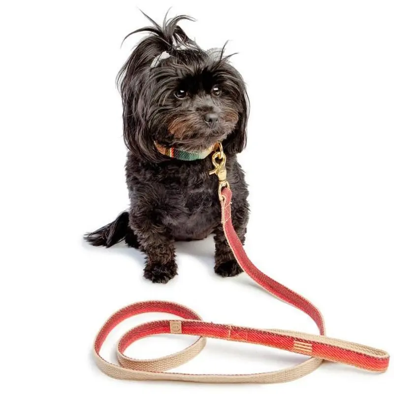 FINNEGAN'S STANDARD GOODS | Sunset Lead