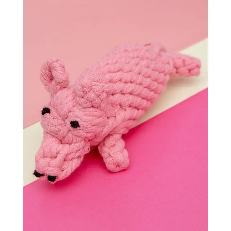 Penny the Pig Rope Dog Toy