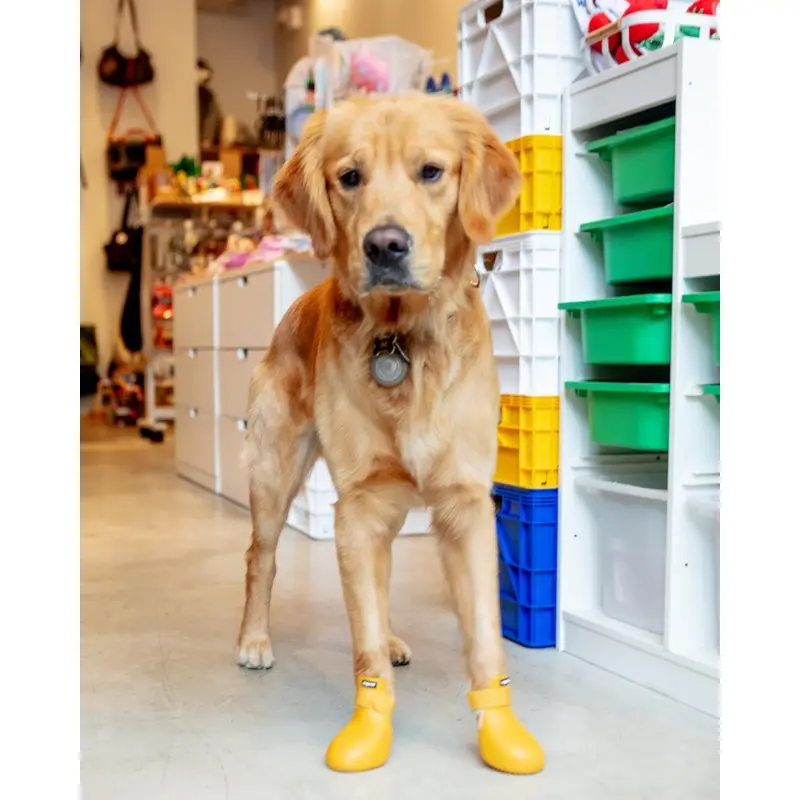 WagWellies Waterproof Dog Boots (in Green, Yellow, or Pink)