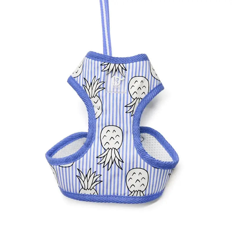 DOGO | Pineapple Harness in Blue