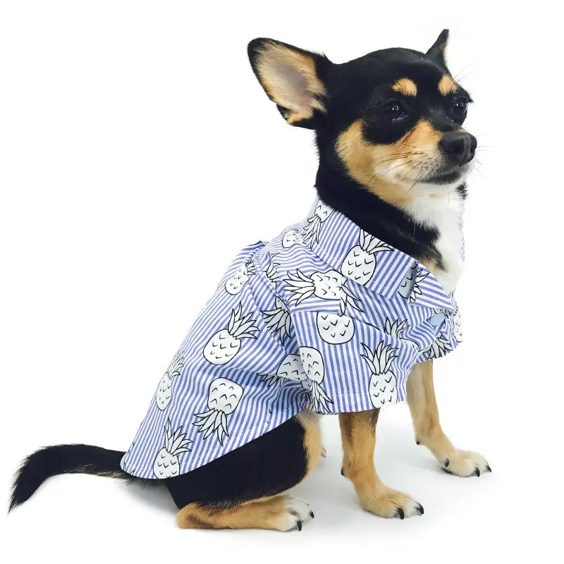 DOGO | Pineapple Shirt in Blue