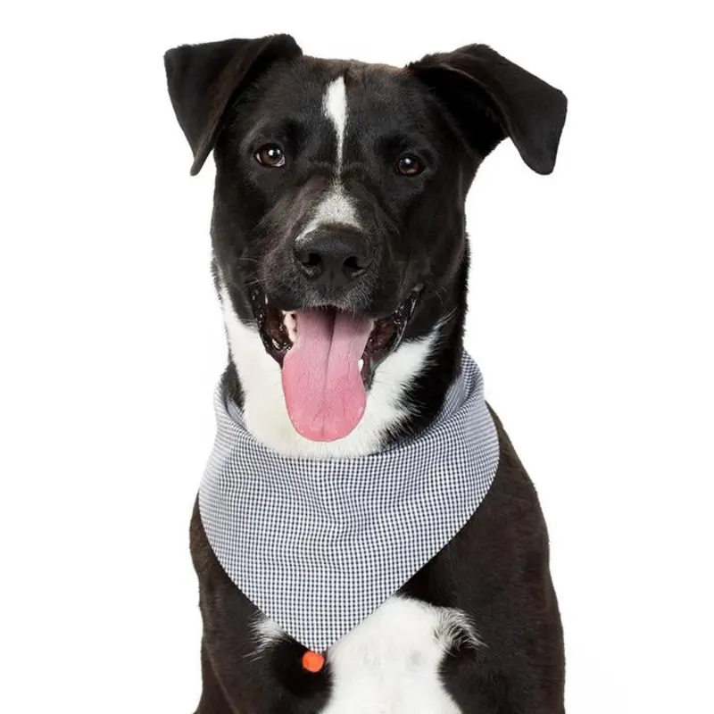 MODERN BEAST | Black Gingham Neckwear