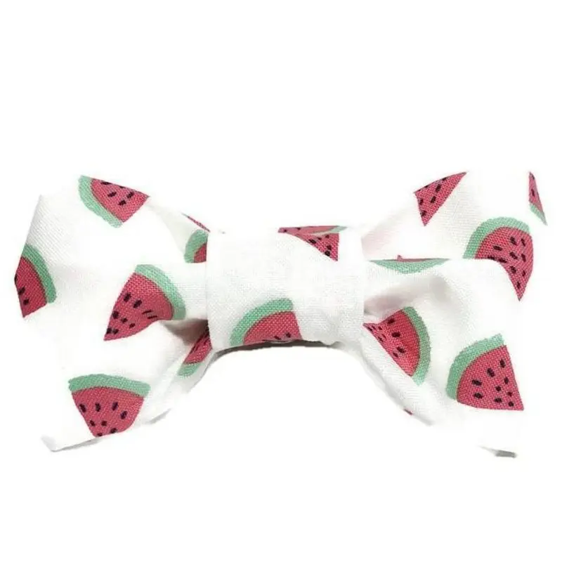 TRISH HAMPTON | Watermelon Bow Tie