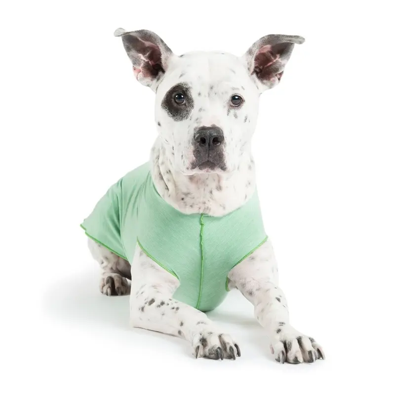 GOLD PAW | Sun Shield Tee in Pistachio Heather