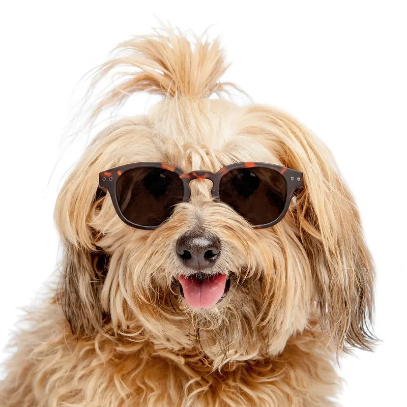 IZIPIZI | Sunglasses in Tortoise Soft Brown