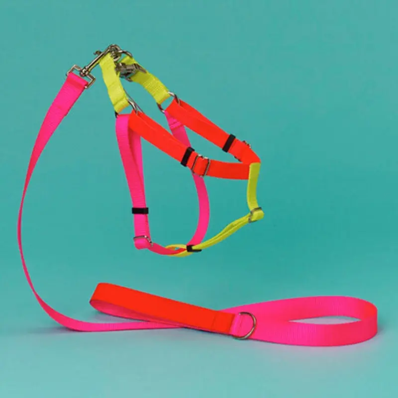 Nylon & Leather Dog Leash in Neon Pink & Orange (Made in the USA) << CLEARANCE >>