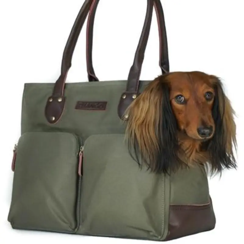 DJANGO | Waxed Canvas + Leather Pet Tote in Olive