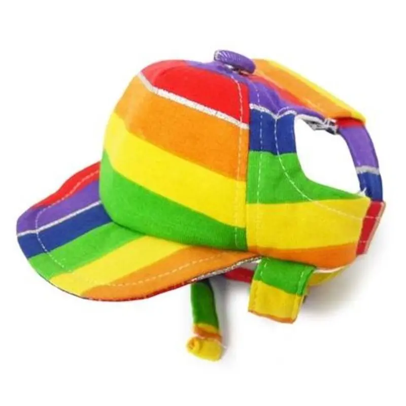 DOGO | Rainbow Hat