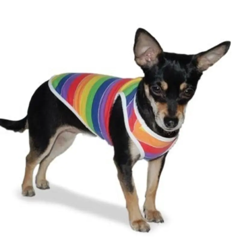 DOGO | Rainbow Tank