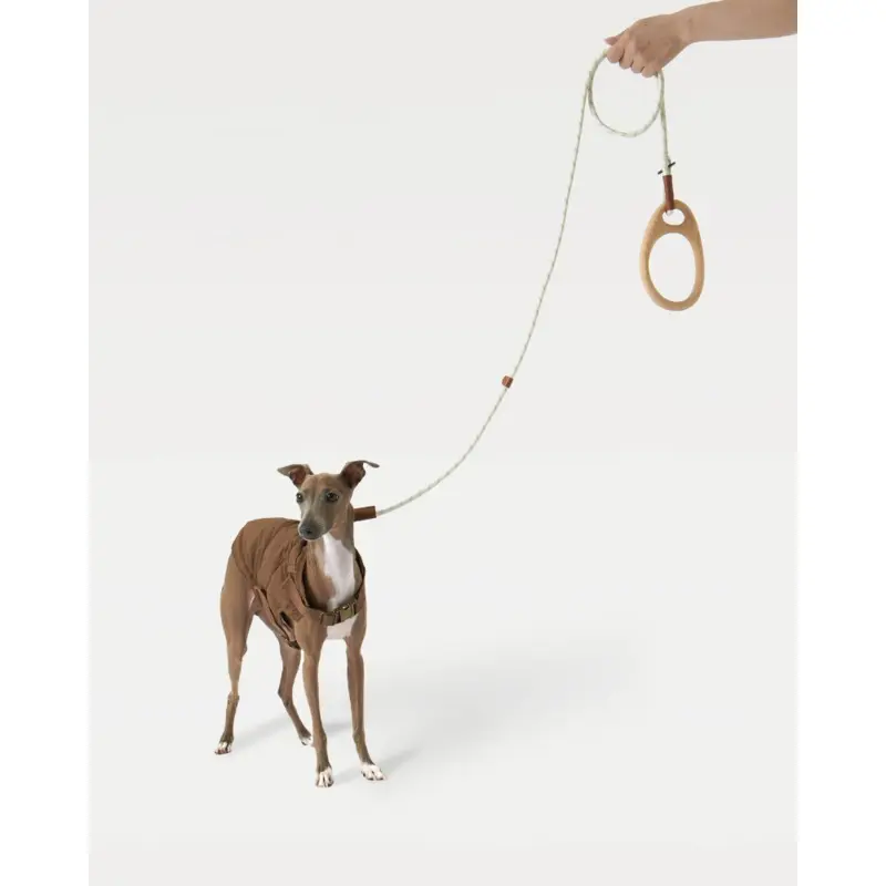 Ash Wood Handle Dog Leash