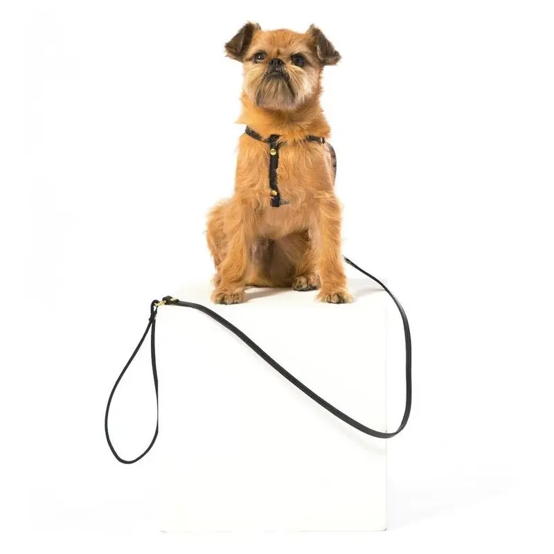 MR. DOG | Black Leather Step-In Harness & Leash