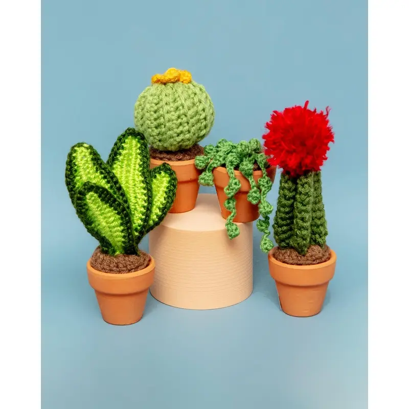 Pet-Safe Crochet Mini Cacti & Succulents (Made in the USA)