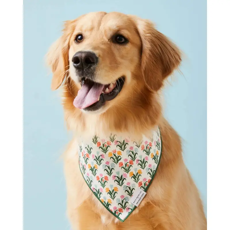 Rifle Paper Co. X TFD Tulips Dog Bandana (Made in the USA) (FINAL SALE)