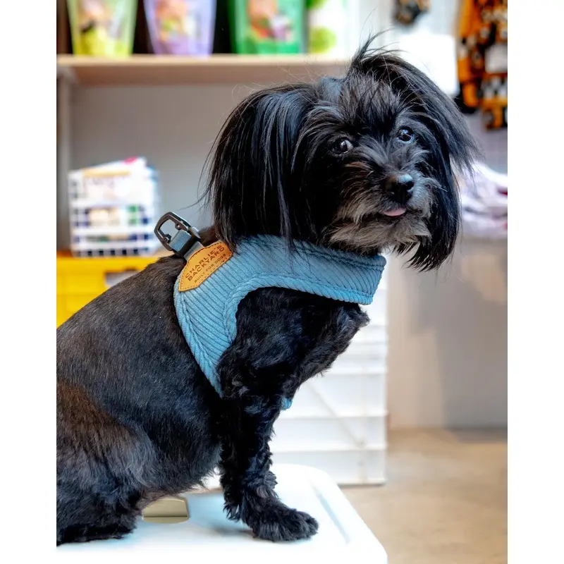 "Roy" Corduroy Buckle Up Easy Dog Harness in Baby Blue