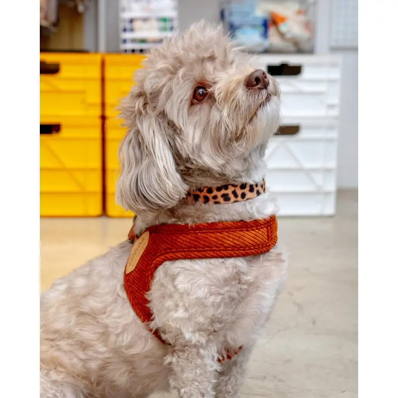 "Roy" Corduroy Buckle Up Easy Dog Harness in Caramel