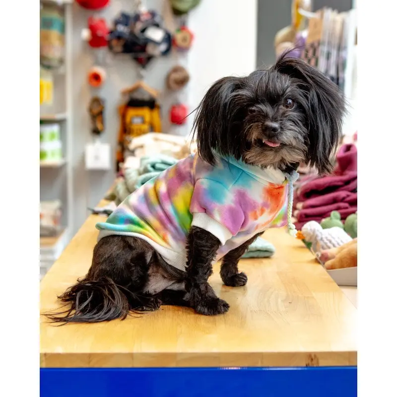 Tie Dye Dog Hoodie in Pastel Rainbow (FINAL SALE)