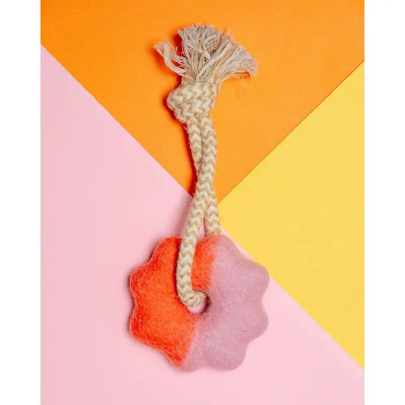 Wheely Good Time Felt & Rope Dog Tug Toy