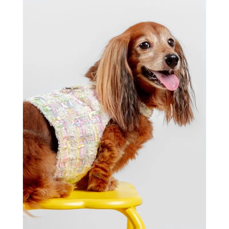 Annabella Dog Harness (Made in the USA)