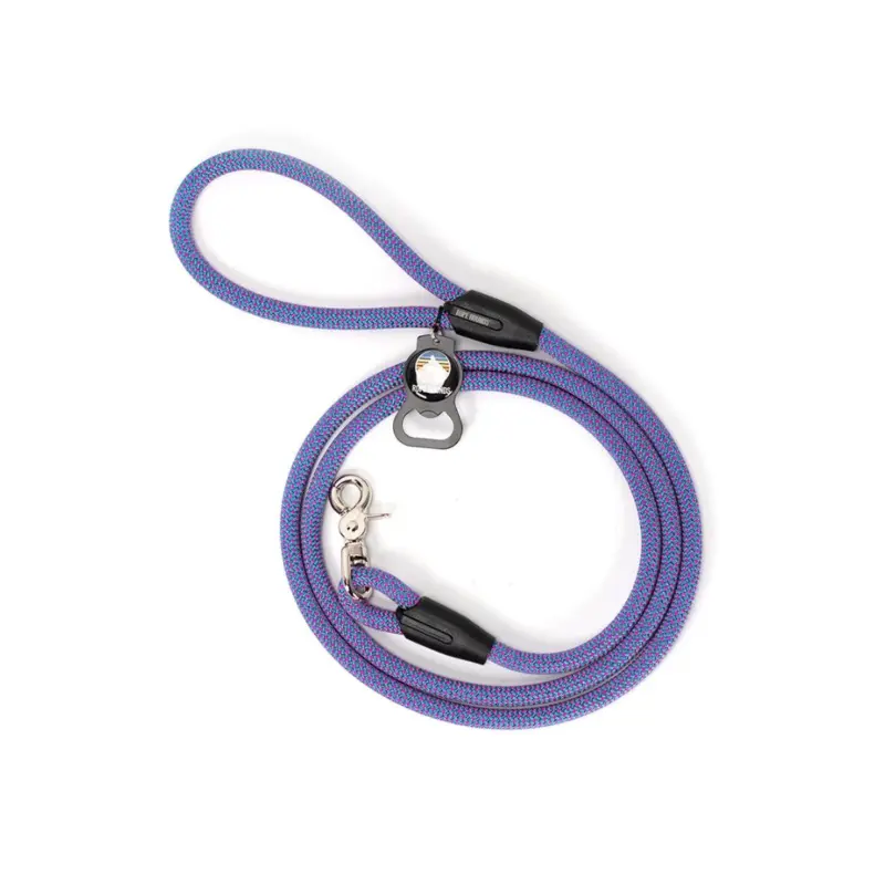 Classic Dog Leash in Bubblegum Pop (Made in the USA)