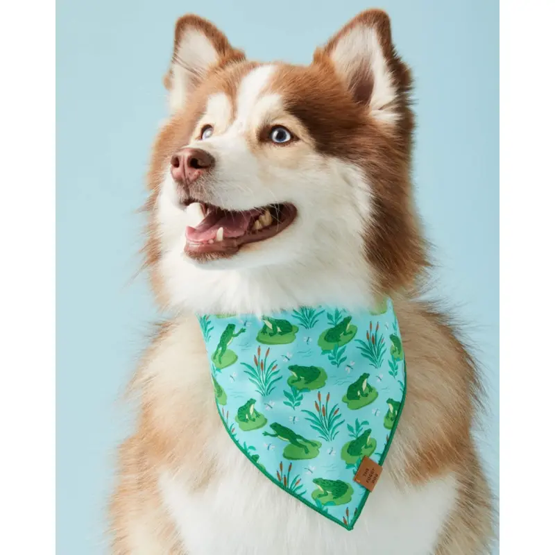 Frog Pond Spring Dog Bandana (Made in the USA) (FINAL SALE)