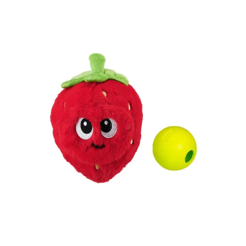 Fruity Plush + Interactive Dog Toy