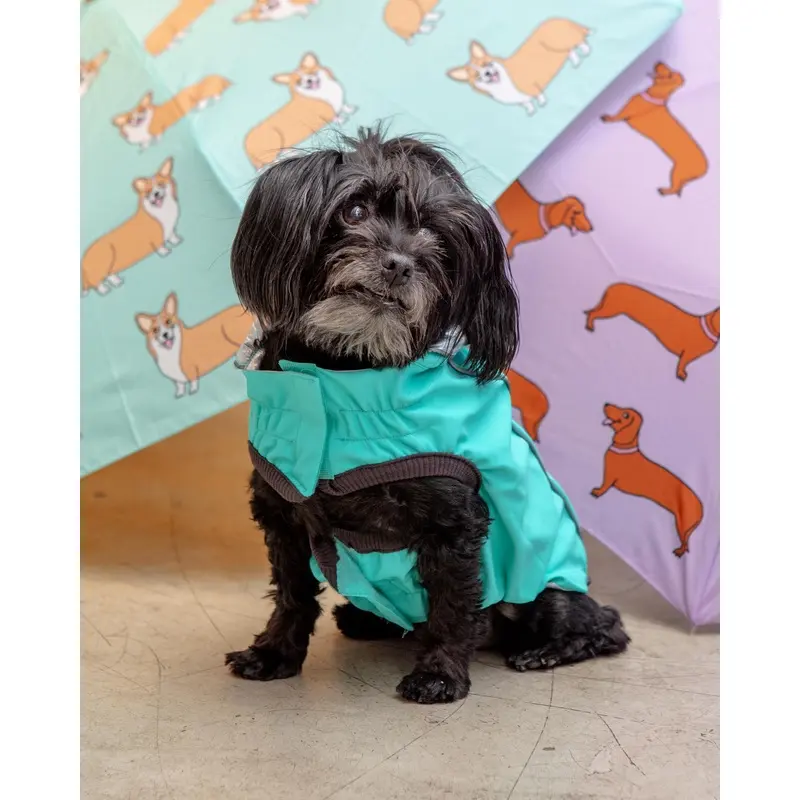 Reversible Waterproof Dog Raincoat in Iridescent + Turquoise