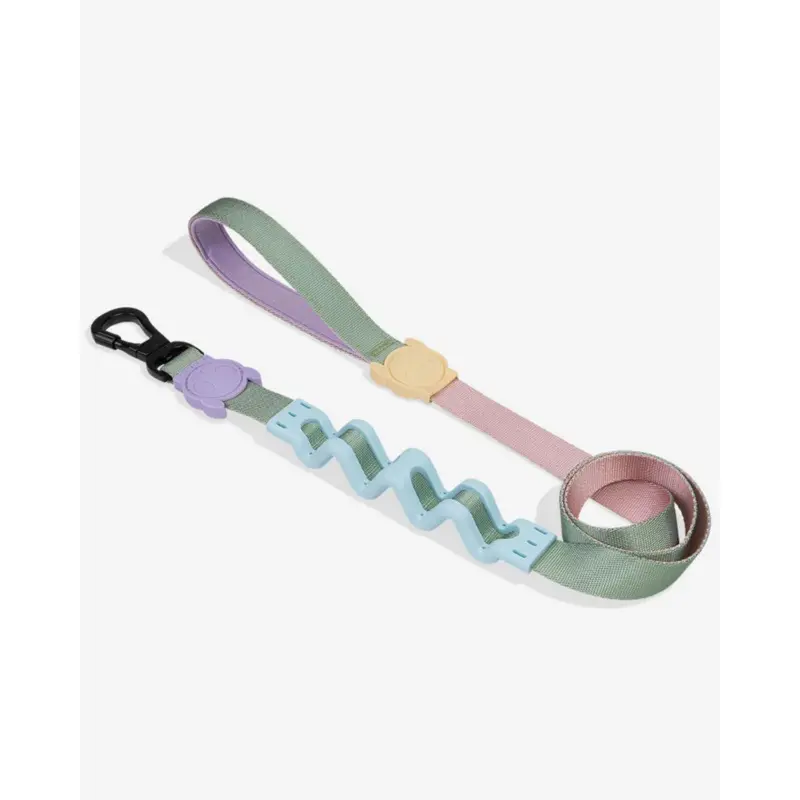 Ruff Leash for Dogs in Peach