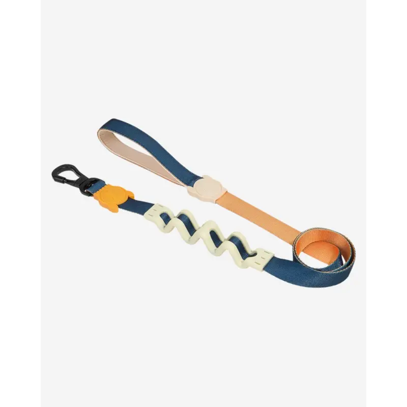 Ruff Leash for Dogs in Voyage