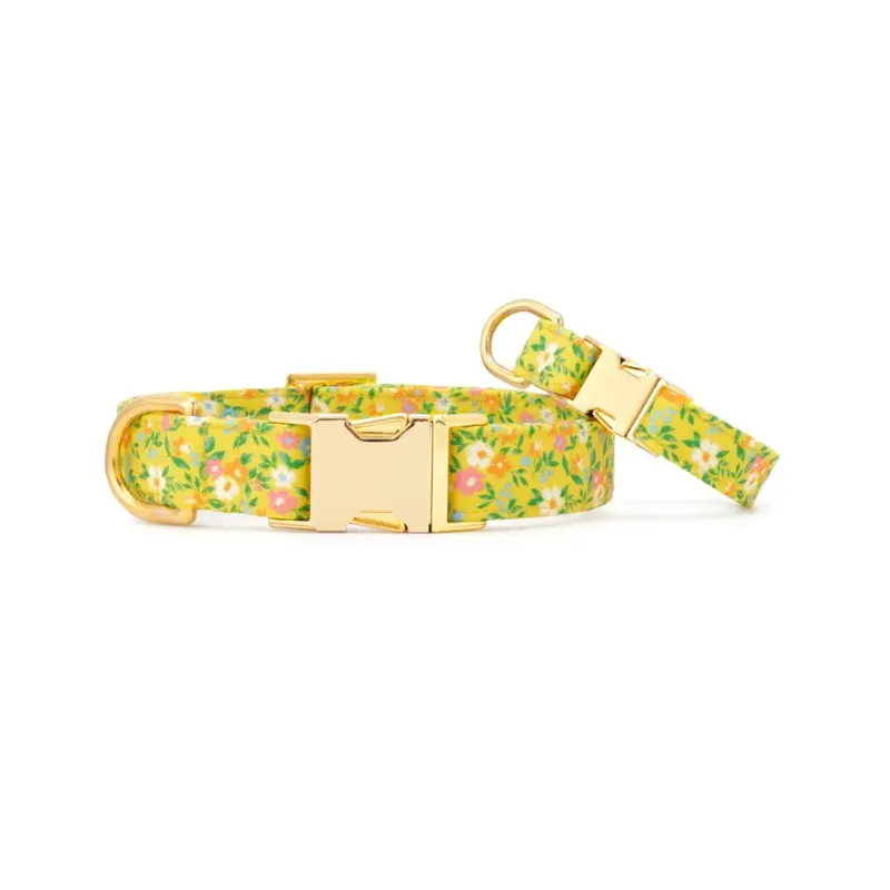 Sunny Meadow Spring Dog Collar (Made in the USA)