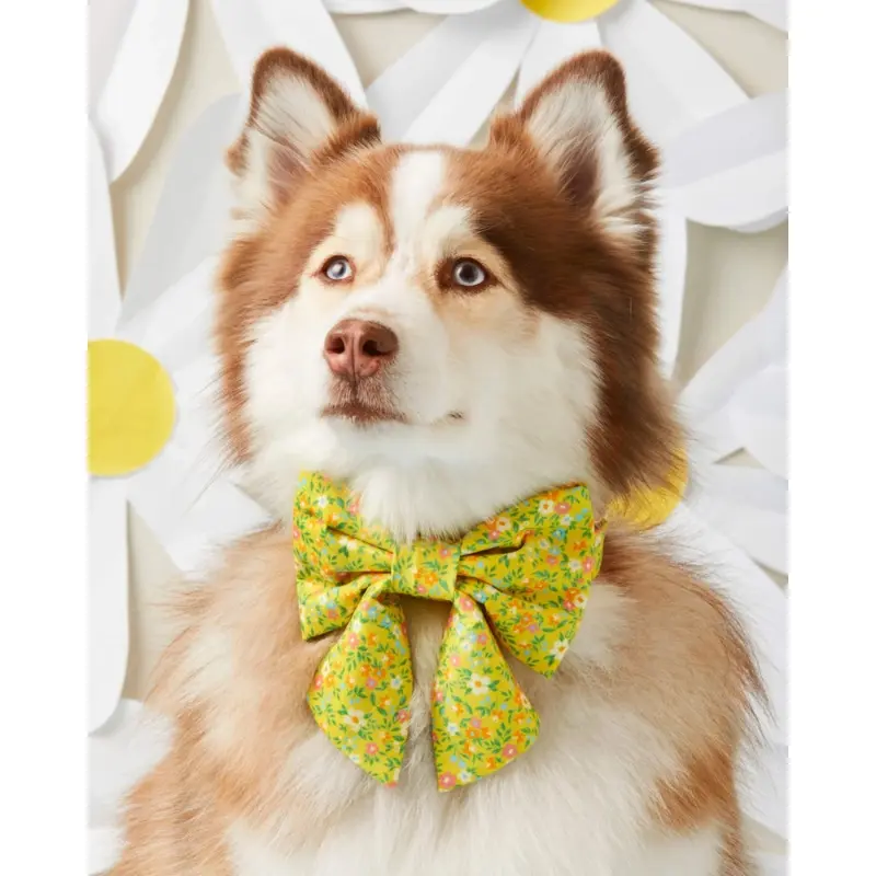 Sunny Meadow Spring Lady Dog Bow