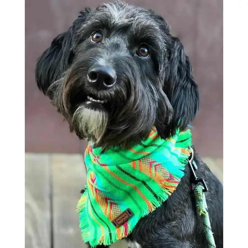 Aztec Boho Dog Bandana (FINAL SALE)