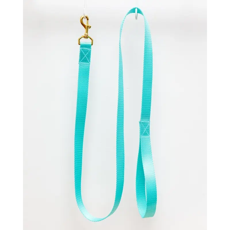 Basic Nylon Dog Leash in Aqua (Made in the USA)