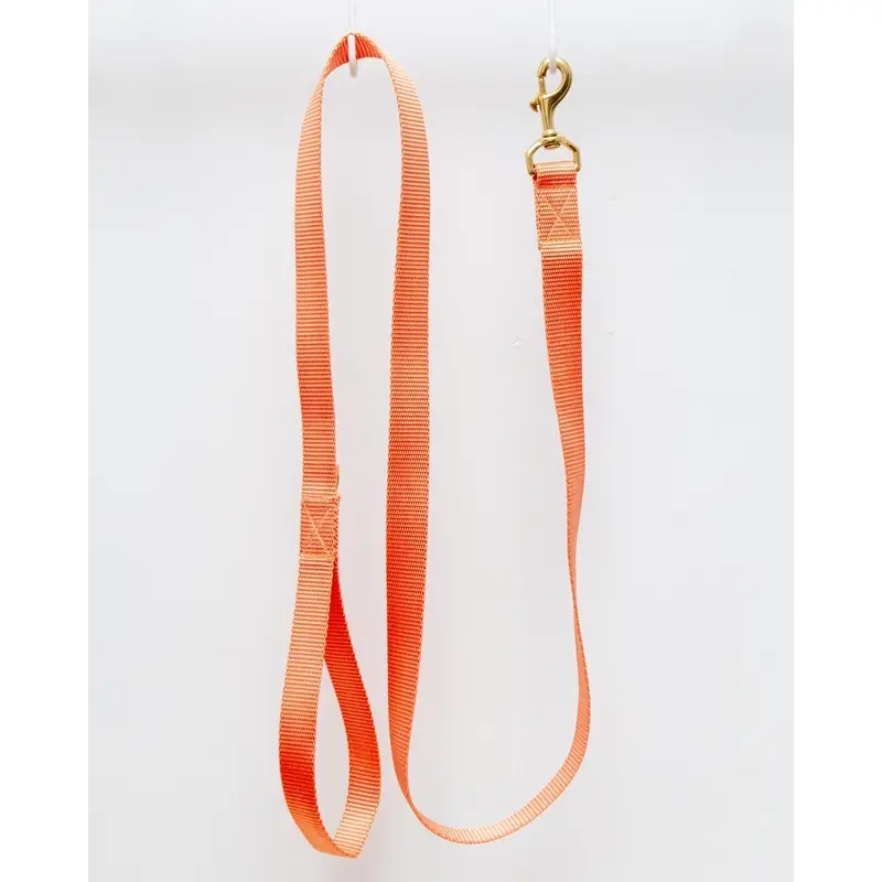 Basic Nylon Dog Leash in Peach (Made in the USA)