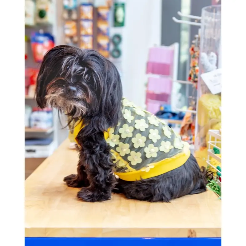 Flower Mesh Dog Shirt (Made in the USA)
