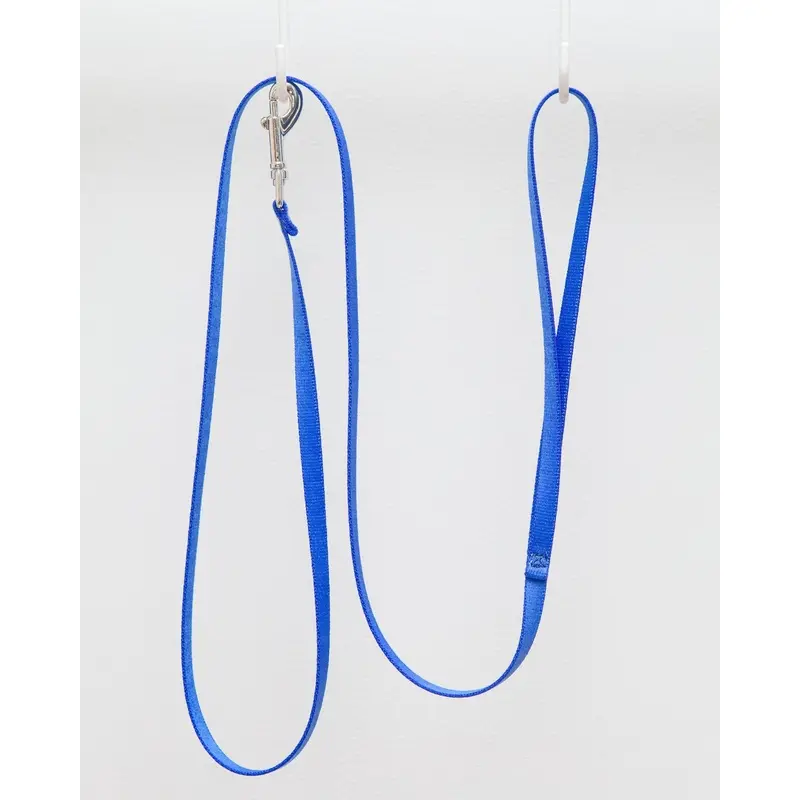 Mini Dog Leash in Royal Blue (Made in the USA)