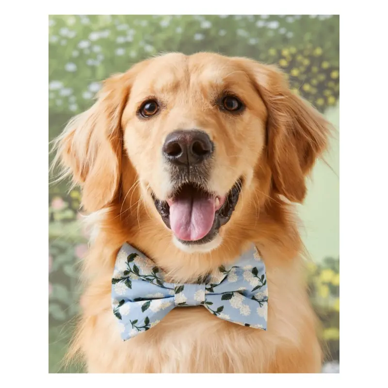 Rifle Paper Co. X TFD Hydrangea Dog Bow Tie (Made in the USA)