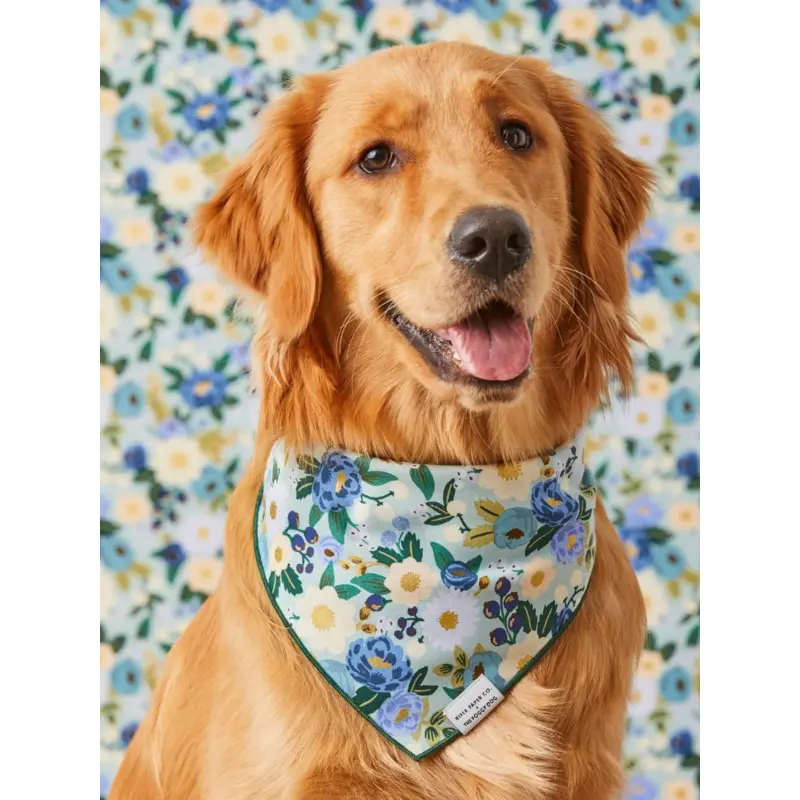 Rifle Paper Co. X TFD Vintage Blossom Dog Bandana (Made in the USA)