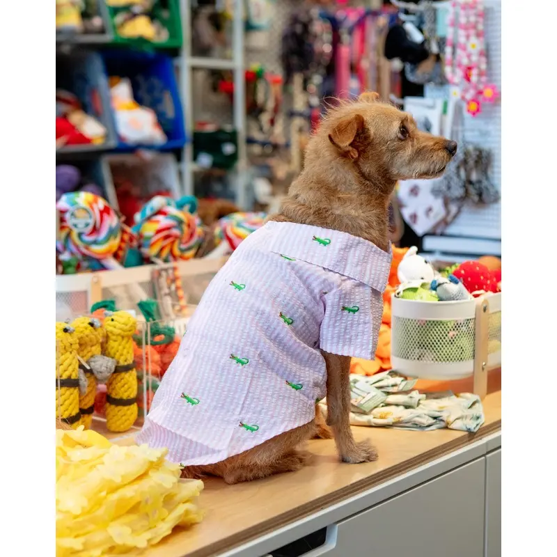 Alligator Pink Stripe Dog Shirt (FINAL SALE)
