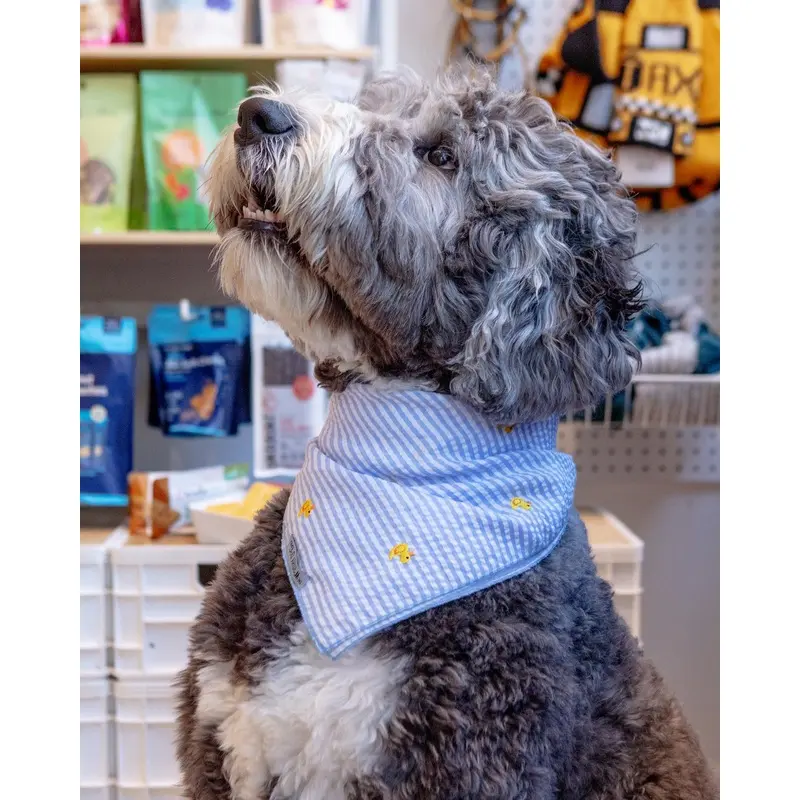 Blue Stripe with Rubber Duck Dog Bandana