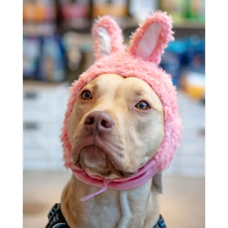Bunny Ears Hat for Dogs & Cats