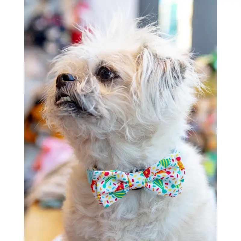 Celebrate Pet Bow Tie